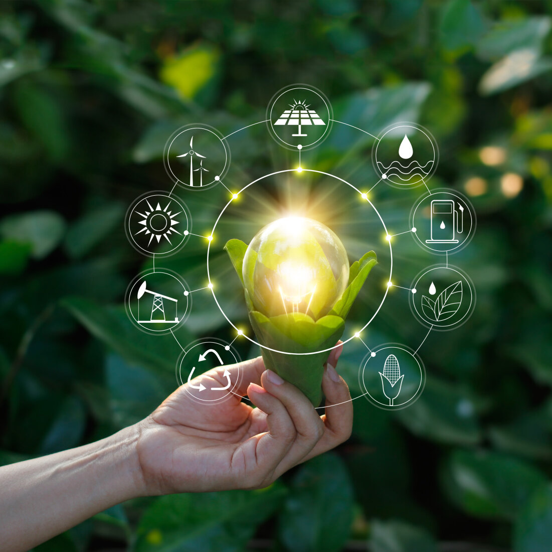 Hand holding light bulb against nature on green leaf with icons energy sources for renewable, sustainable development. Ecology concept. Elements of this image furnished by NASA.